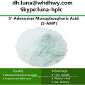 CAS: 61-19-8 Hot Sell 5-AMP/5′-Adenosine Monophosphoric Acid/Adenosine Phosphate